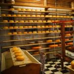 ¿Cómo redactar un plan de negocio para abrir una quesería?