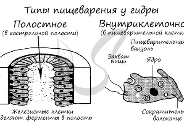 Kraken актуальные зеркала krakentor site